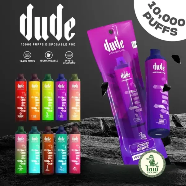 Dude 10000 Puffs