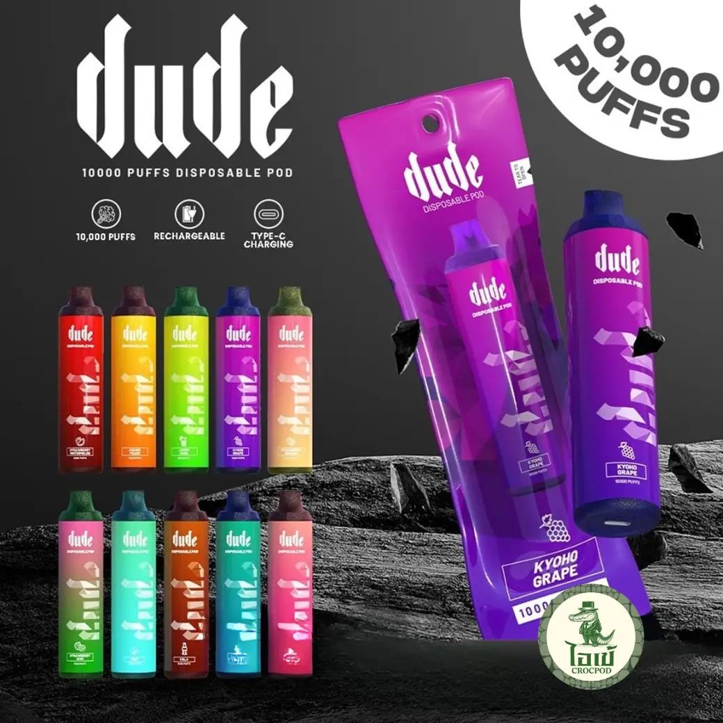 Dude 10000 Puffs
