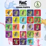 VMC 12000 Puffs