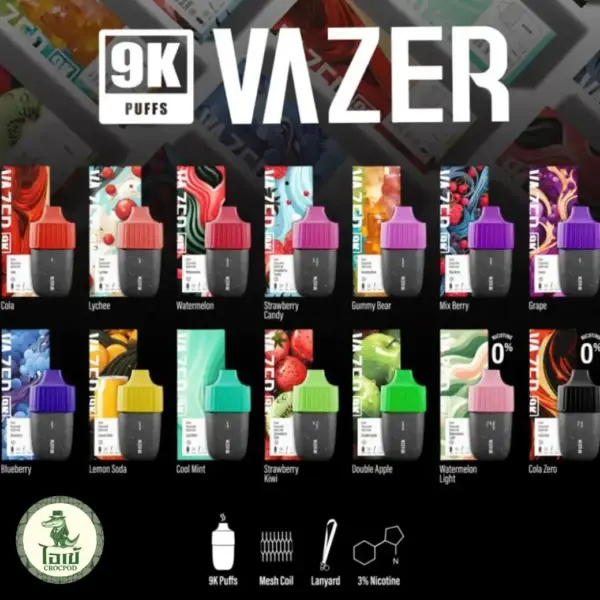 Vazer one 9000 puffs