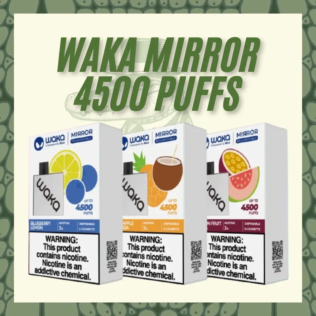 WAKA Mirror 4500 Puffs